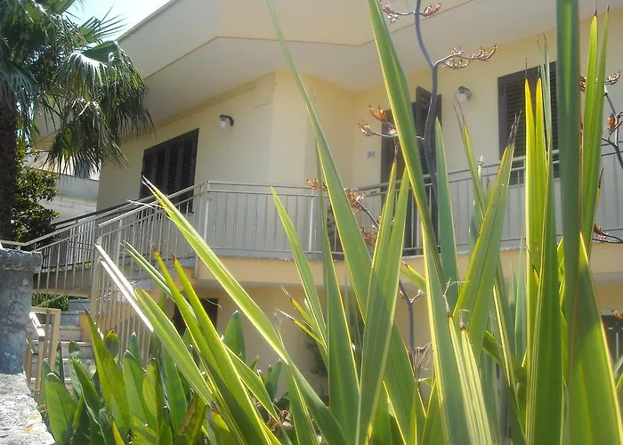 B&B Bellavista